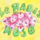 radis_roses_actu_site