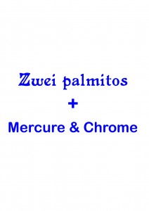 11_01_23_ bibliockette